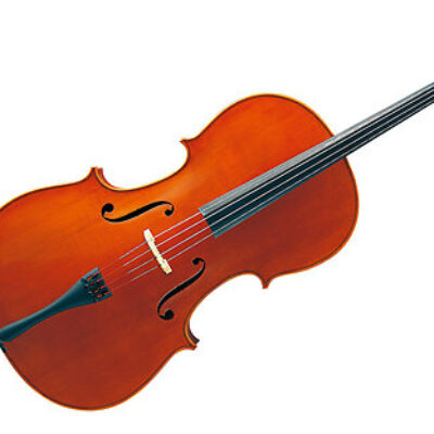 Yamaha VC5S 3/4